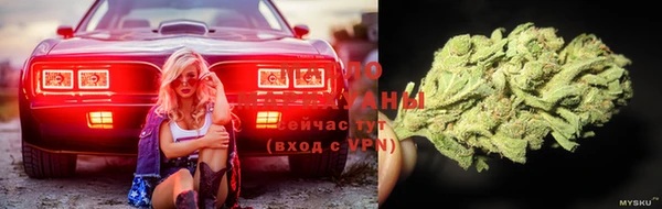 первитин Новозыбков