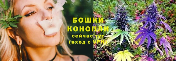 первитин Новозыбков