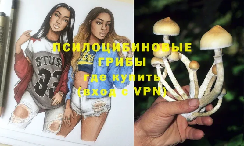 Галлюциногенные грибы MAGIC MUSHROOMS  Большой Камень 