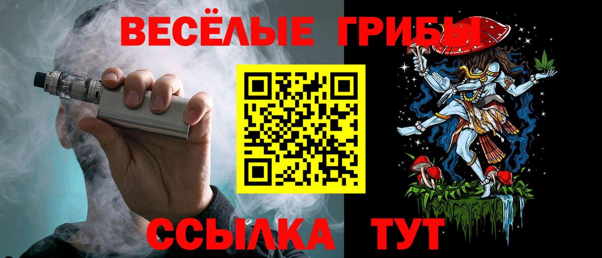 Псилоцибиновые грибы прущие грибы  Вход с VPN  Большой Камень 