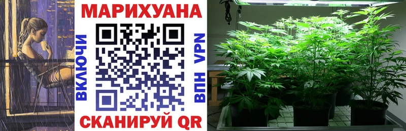 наркота Большой Камень Каннабис семена